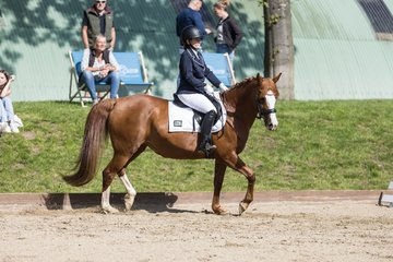 Bild 114 - Pony Akademie Turnier